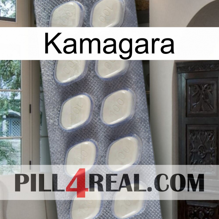 Kamagara 08